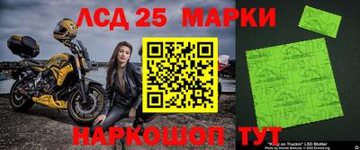 индика Аргун