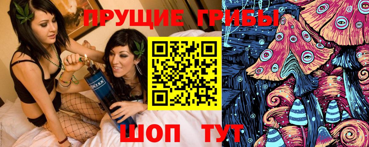 Псилоцибиновые грибы Cubensis  Псилоцибиновые грибы GOLDEN TEACHER  Ачинск  Вход с VPN 